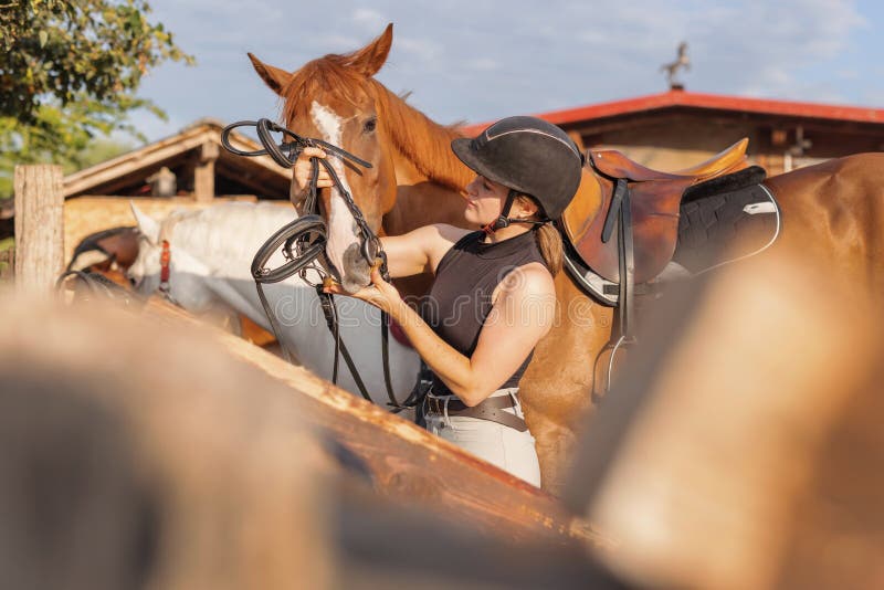 Garota Equestre Pulando Obstáculo Com Cavalo Cinza-maçã Imagem de