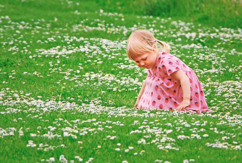 Photo of a young girl wearing a summer pink dress with strawberry pattern print picking daisies for the flower festival in East Kent during 2015. Photo of a young girl wearing a summer pink dress with strawberry pattern print picking daisies for the flower festival in East Kent during 2015.