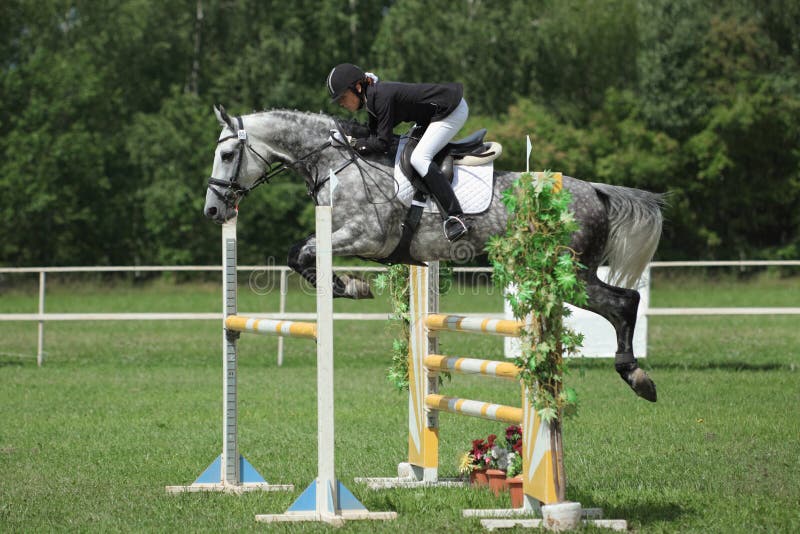 Foto de Cavalo Cinza Dapple Pulando Sobre Obstáculo e mais fotos