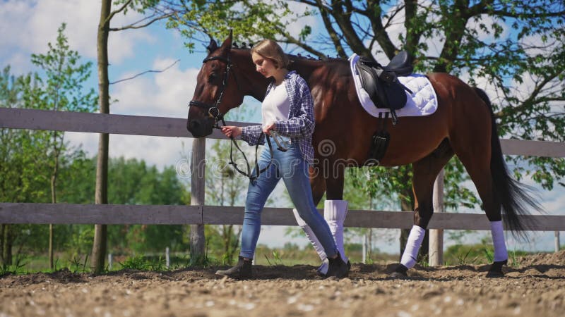 Menina Com Seu Cavalo De Baía Escura Segurando Sua Corda Na Arena Arenosa  Foto de Stock - Imagem de animal, lazer: 225970050