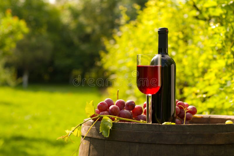 Garrafa de vinho tinto com copo de vinho e uvas no vinhedo