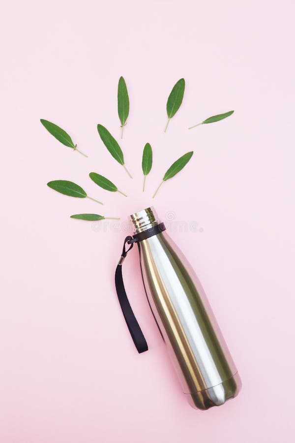 A garrafa de água do metal e as folhas verdes isoladas no fundo cor-de-rosa, vista superior, vão verde, proteção ambiental, parad fotografia de stock royalty free A garrafa de água do metal e as folhas verdes isoladas no fundo cor-de-rosa, vista superior, vão verde, proteção ambiental, parad fotografia de stock royalty free