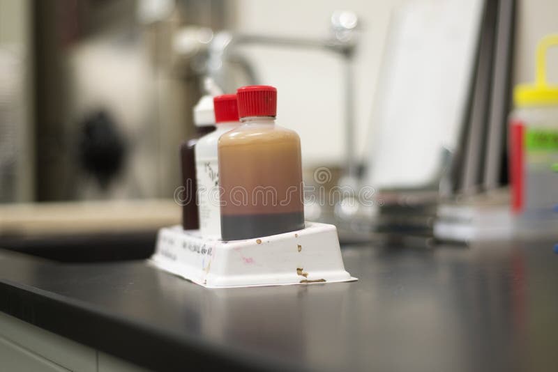Garrafas da mancha das bactérias do laboratório fotografia de stock Garrafas da mancha das bactérias do laboratório fotografia de stock