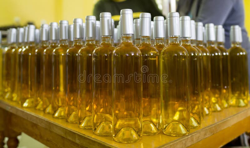 White wine bottles in a winery ordered for labeling before packed and shipped for sale. White wine bottles in a winery ordered for labeling before packed and shipped for sale.