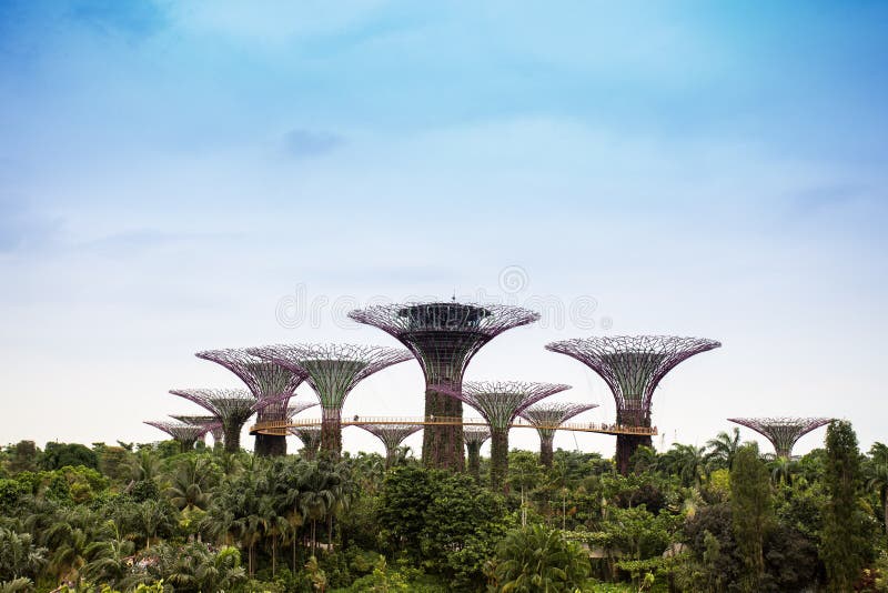 Garten Durch Den Schacht, Singapur. Stockbild Bild von