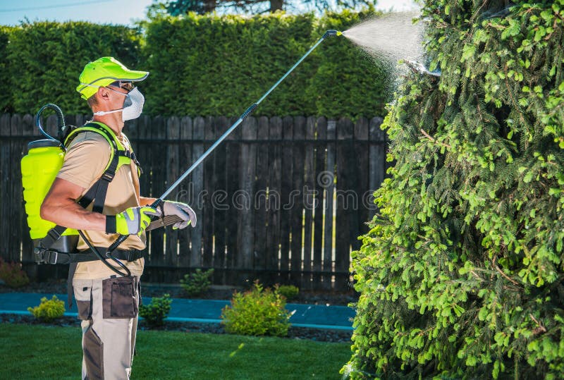 Garten-Insektenvertilgungsmittel durch das Sprühen lizenzfreie stockfotos Garten-Insektenvertilgungsmittel durch das Sprühen lizenzfreie stockfotos