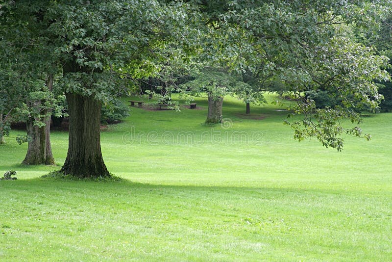 60+ Garten Landschaft, Im mai beginnt die pflanzzeit für