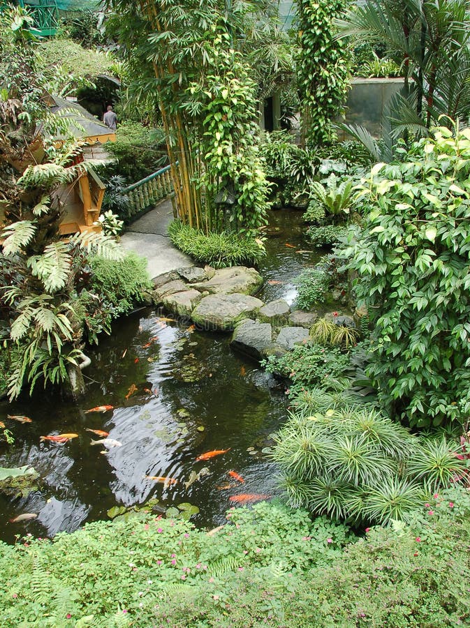 Garten mit koi ponds2 stockfoto. Bild von teich, fische 2024918