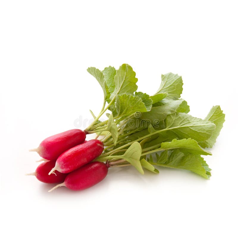 Roter GartenRettich stockfoto. Bild von rund, nahrung