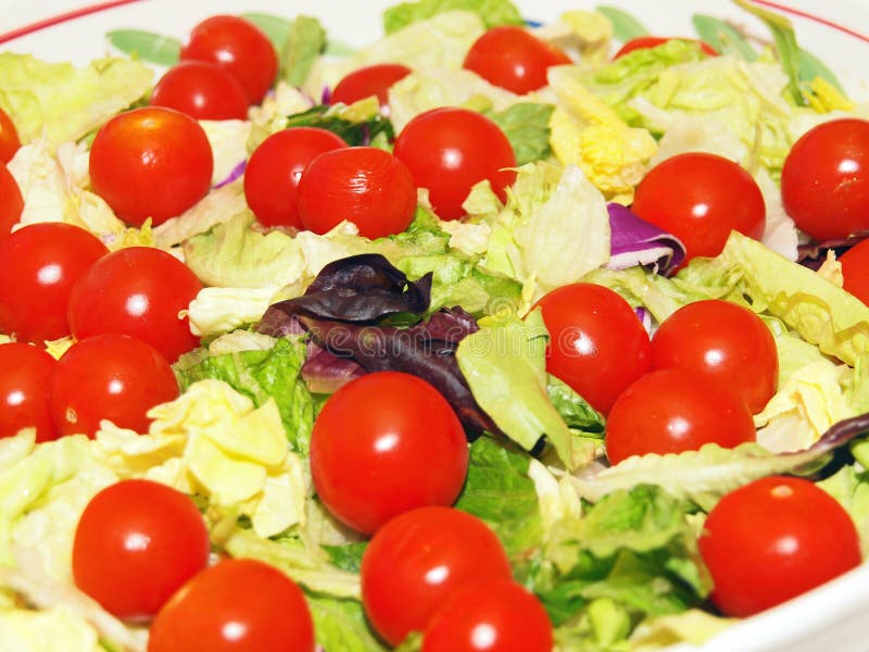 GartenSalat Bild. Bild 954575
