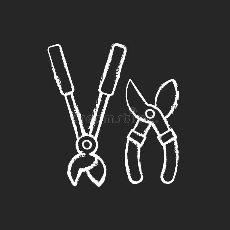 Garten secateurs Kreide weißes Symbol auf schwarzem Hintergrund. Bypass-Greifer. Heckenschere. Baumschnitt. Pflege lebender Pflanzen und Setzlinge. Darstellung der isolierten Vektorkreidetafel
