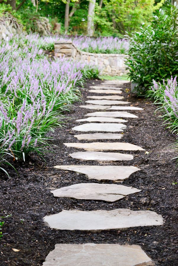 Garten Steinweg Und Liriope Stockfoto Bild von blumen, plasterung