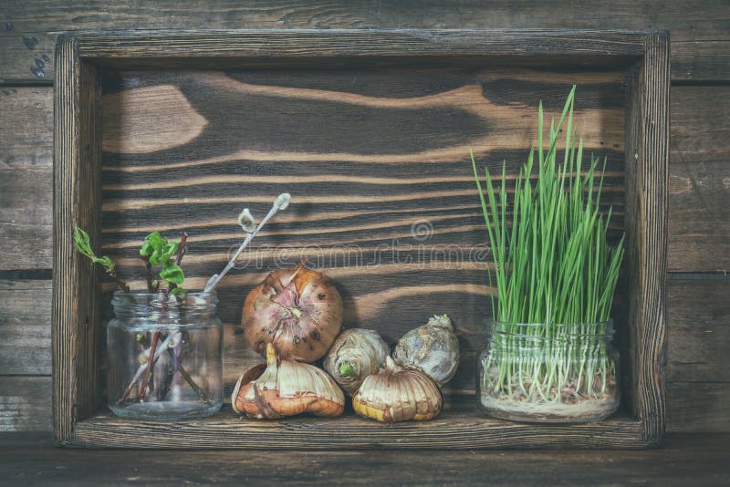 Gartenarbeit und Konzept pflanzend Sämlinge, Gartenwerkzeuge, Knollen stockfotos Gartenarbeit und Konzept pflanzend Sämlinge, Gartenwerkzeuge, Knollen stockfotos