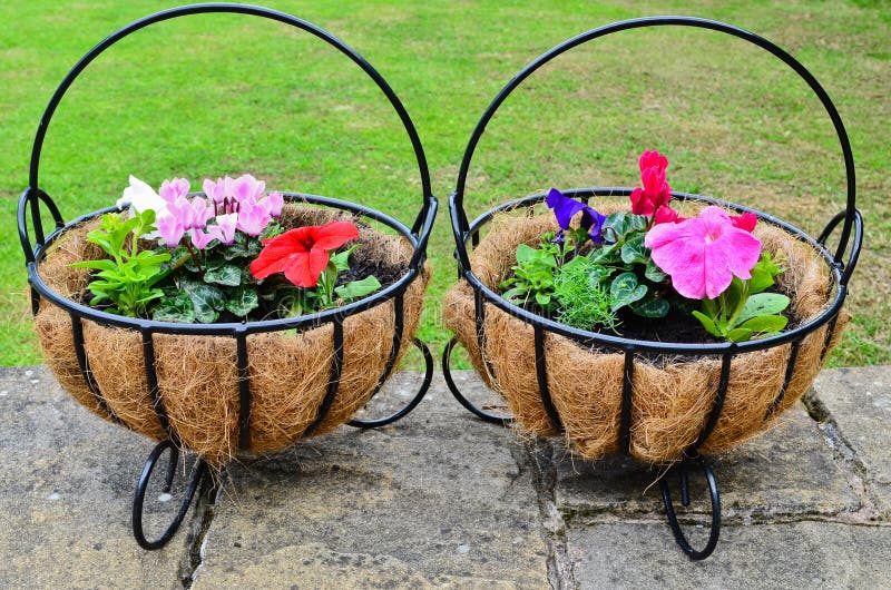 Gartenblumenkörbe stockbild