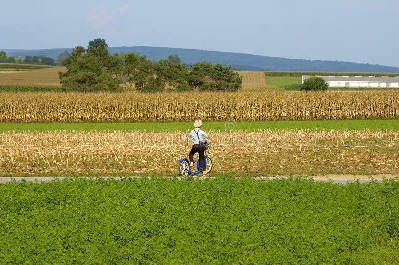 Garçon amish sur le scooter. images stock Garçon amish sur le scooter. images stock