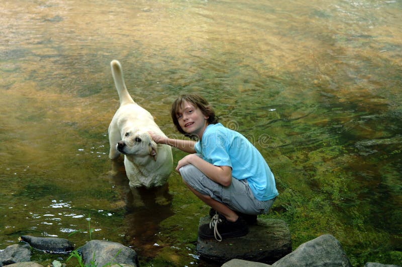 A boy and his yellow labrador playing in the river. A boy and his yellow labrador playing in the river