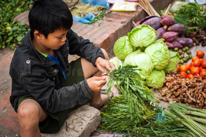 Garçon vendant le marché asiatique d'épicerie verte et de nourriture d'épices laos images stock Garçon vendant le marché asiatique d'épicerie verte et de nourriture d'épices laos images stock