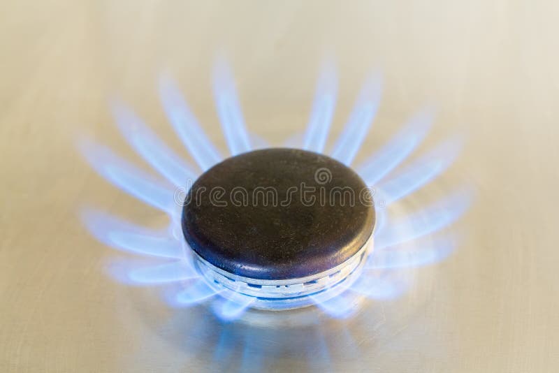 Gas Burner of the Stove Lights Up Blue Stock Photo Image of energy