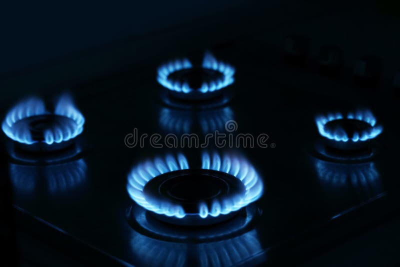 Gas Cooktop with Burning Blue Flames in Darkness Stock Photo Image of