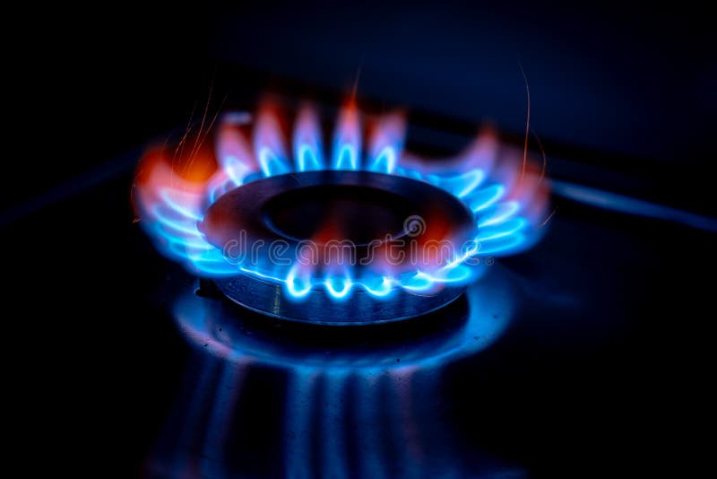 Gas Cooktop Burning Gas Stove with Blue Flame Stock Image Image of