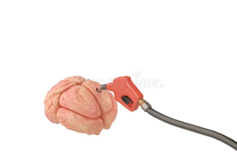 Gasoline Pump Inserted in the Brain.3D Illustration. Stock Illustration