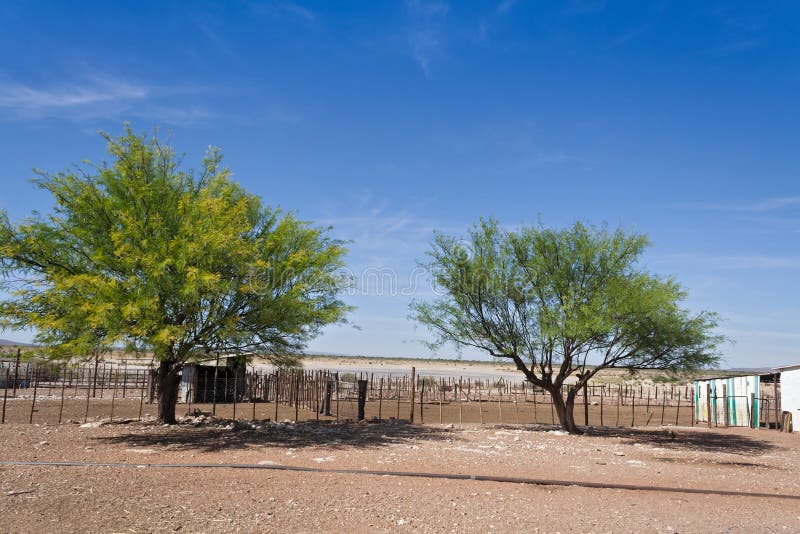 Gate on a cattle farm, namibia