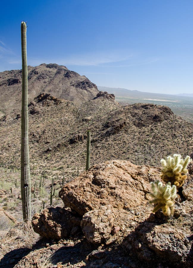 Gates Pass Trail Tucson Arizona Stock Photo - Image of jumping, nature ...