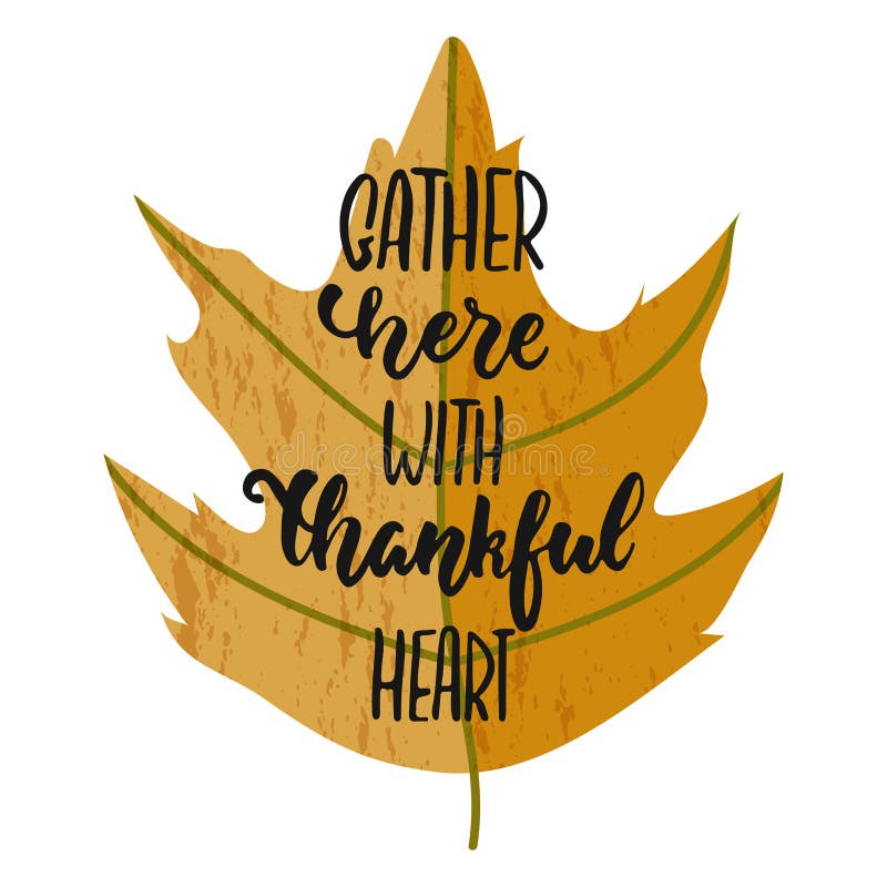Gather here with thankful heart - hand drawn Autumn seasons Thanksgiving holiday lettering phrase isolated on the white royalty free illustration Gather here with thankful heart - hand drawn Autumn seasons Thanksgiving holiday lettering phrase isolated on the white royalty free illustration