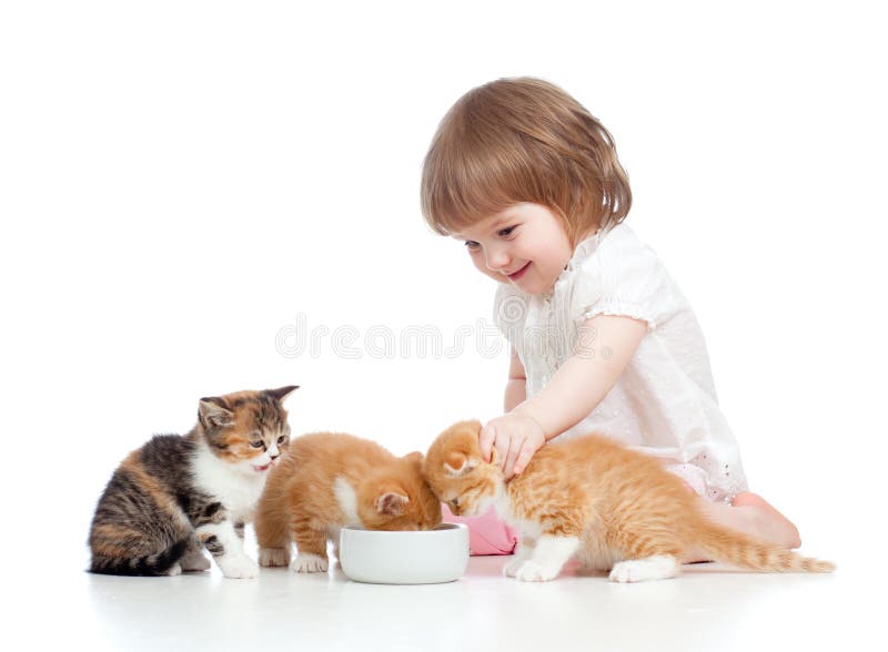 Gatinho atrativo da alimentação de crianças engraçada fotos de stock Gatinho atrativo da alimentação de crianças engraçada fotos de stock