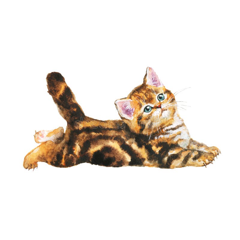 Gatito blotched acuarela del gato atigrado ilustración del vector Gatito blotched acuarela del gato atigrado ilustración del vector