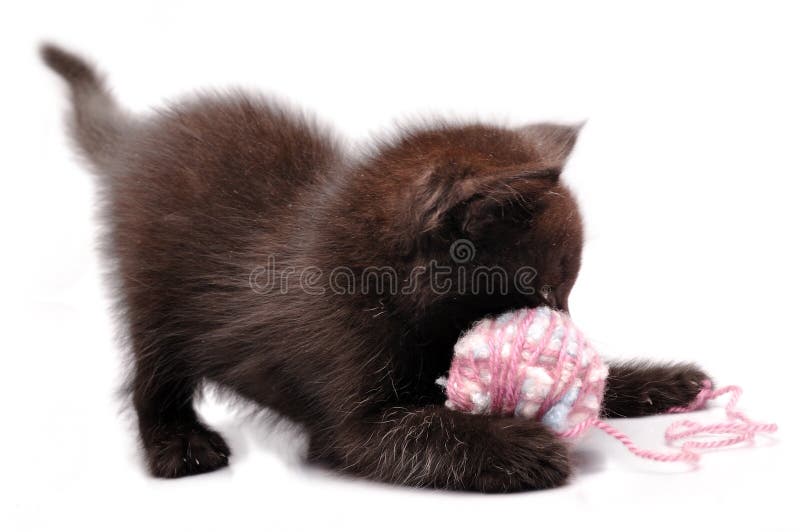 Gatito que juega con una bola de las lanas imágenes de archivo libres de regalías Gatito que juega con una bola de las lanas imágenes de archivo libres de regalías