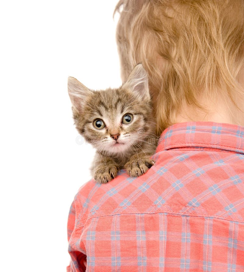 Gatito que mira furtivamente sobre el hombro de un niño aislado en b blanco fotografía de archivo Gatito que mira furtivamente sobre el hombro de un niño aislado en b blanco fotografía de archivo