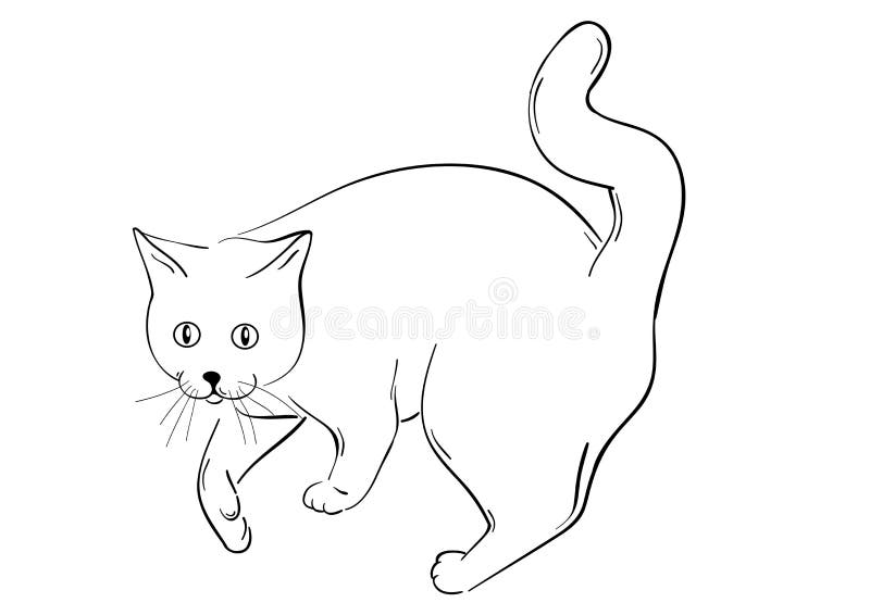 Esboço Da Página Da Coloração Do Gato Macio Dos Desenhos Animados Livro  Para Colorir Para Crianças Ilustração do Vetor - Ilustração de gatinho,  pintura: 73927272