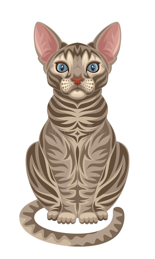 Gato stock de ilustración