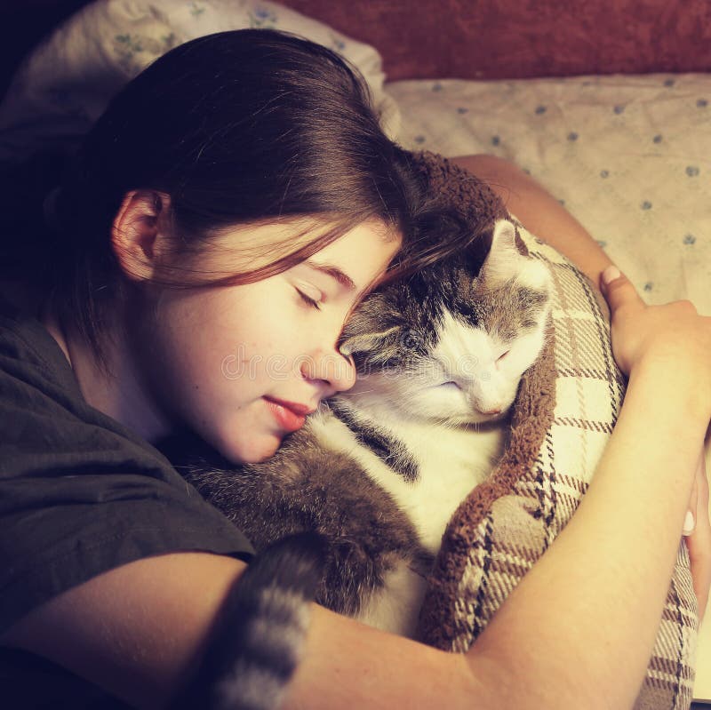 Gato adolescente do afago do abraço da menina na cama
