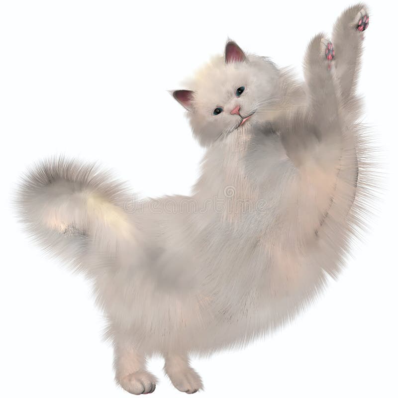 Gato blanco oriental fotografía de archivo Gato blanco oriental fotografía de archivo