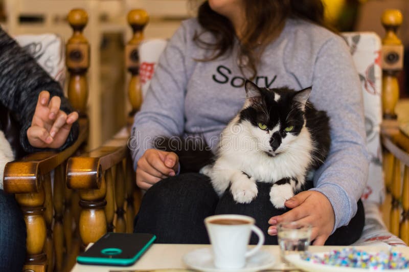 Black and white cat resting on a young girl&#x27;s lap in a cafe. Girl sitting and chatting with her friend, drinking Turkish coffee in a cafe. Black and white cat resting on a young girl&#x27;s lap in a cafe. Girl sitting and chatting with her friend, drinking Turkish coffee in a cafe.