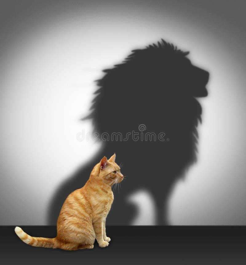 Gato con la sombra del león