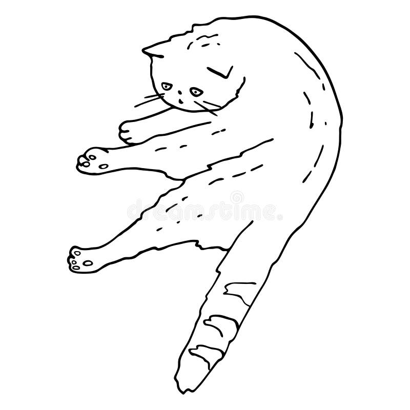 contorno da página para colorir do gato fofo dos desenhos animados