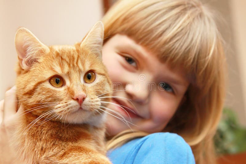 Young girl holding lovely cat. Young girl holding lovely cat.