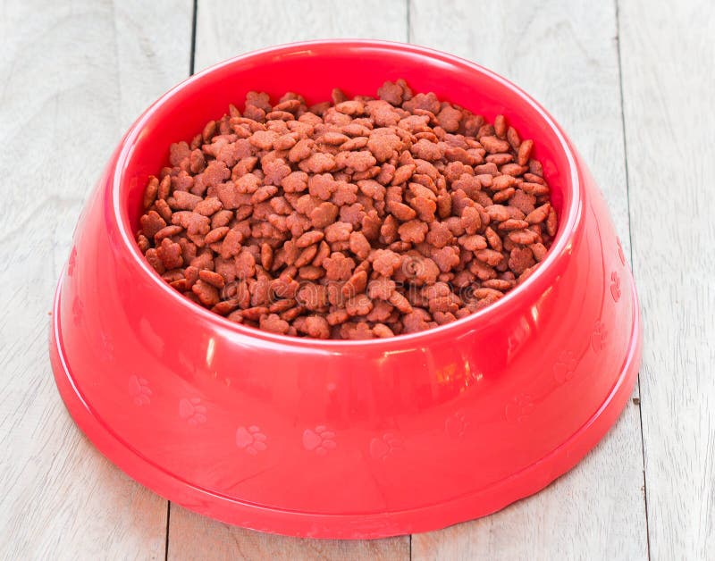 gato do alimento no copo vermelho imagem de stock royalty free gato do alimento no copo vermelho imagem de stock royalty free