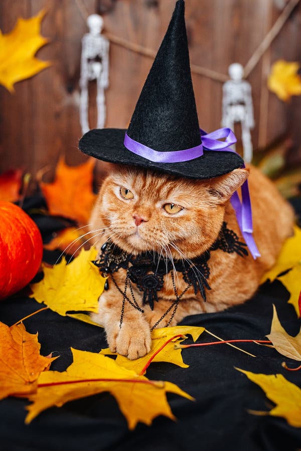 Chapéu Abóbora de Halloween Fofo Vermelho