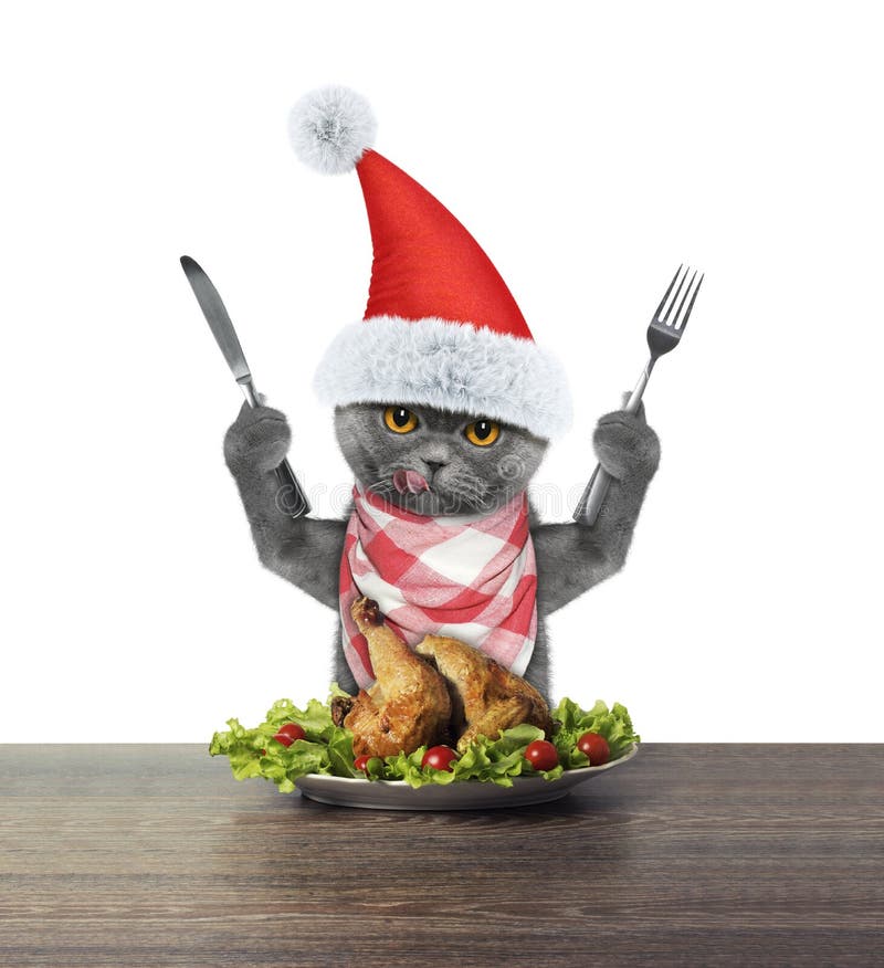 Cute cat going to eat festive Christmas duck -- isolated on white. Cute cat going to eat festive Christmas duck -- isolated on white