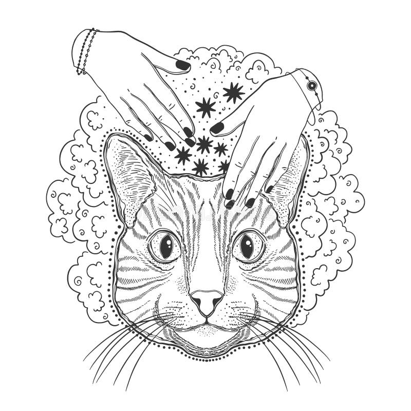 Mínimo gato de desenho — Ilustração de Stock  Dibujos a tinta, Muñeca  dibujo, Dibujos de gatos