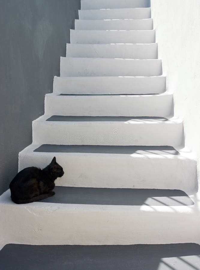 Gato negro en las escaleras fotografía de archivo Gato negro en las escaleras fotografía de archivo