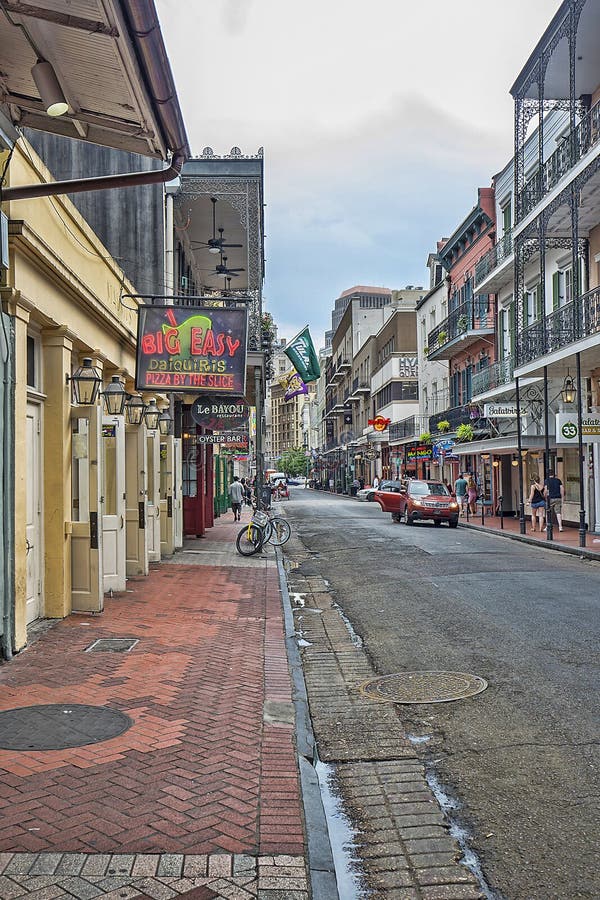 Gator av New Orleans royaltyfri foto Gator av New Orleans royaltyfri foto