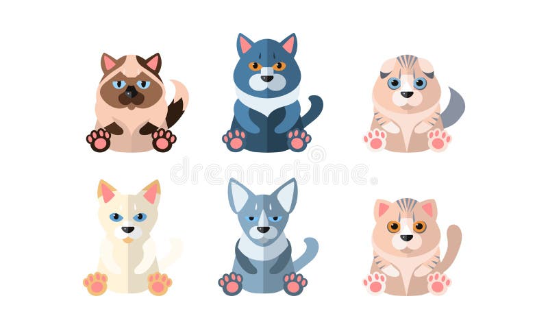 Grupo de gatos bonitos com cores diferentes do vetor dos desenhos animados  isolado caracteres