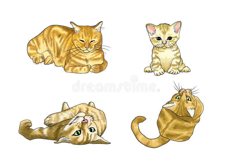 Jogo De Poses Do Gato Jogos Do Gatinho, Saltos Em Um Aspirador De P30  Esperto Ilustração do Vetor - Ilustração de pele, fofofo: 134761138