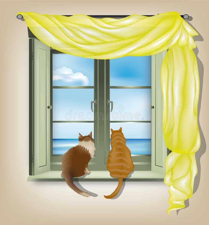 Gatos que miran fuera de ventana