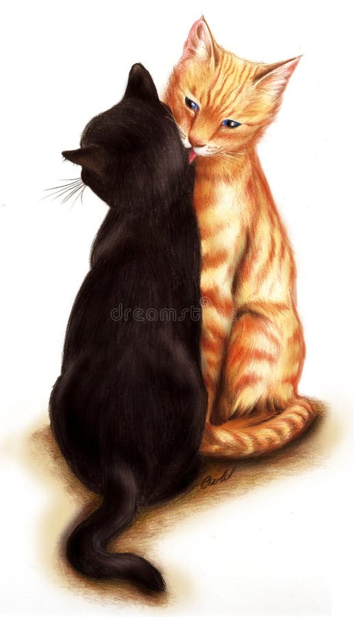 Gatti teneri Gatti teneri